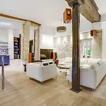 Luxury Loft Center Of Paris