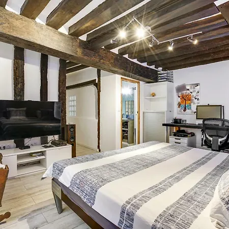 Luxury Loft Center Of Apartment Paris